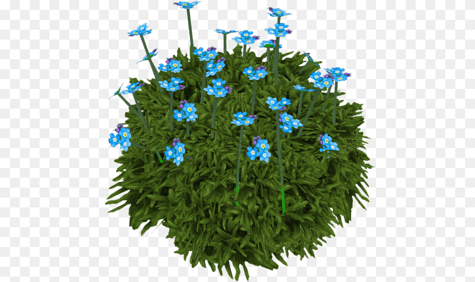 Alpine Forget Me Not Gentiana, Anemone, Flower, Geranium, Plant Png