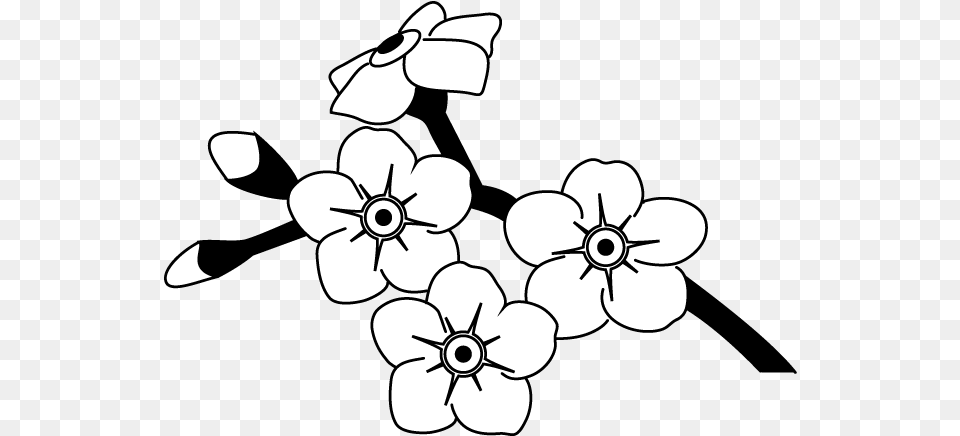 Alpine Forget Me Not Svg Outline Forget Me Not Flowers To Drawing, Anemone, Flower, Plant, Petal Free Transparent Png
