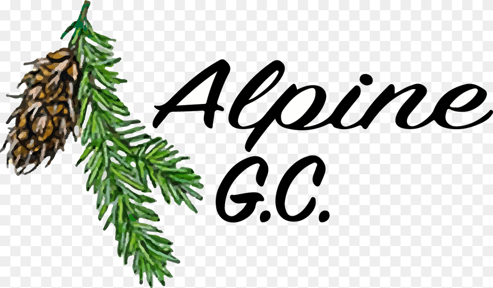 Alpine Golf Club Illustration, Conifer, Fir, Plant, Tree Free Png Download