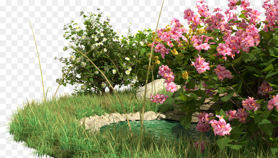 Alpine Hill Scene Contains Bushes Flowers Rocks Water Fountain And Grass Rosa Wichuraiana, Flower, Garden, Geranium, Nature Png Image