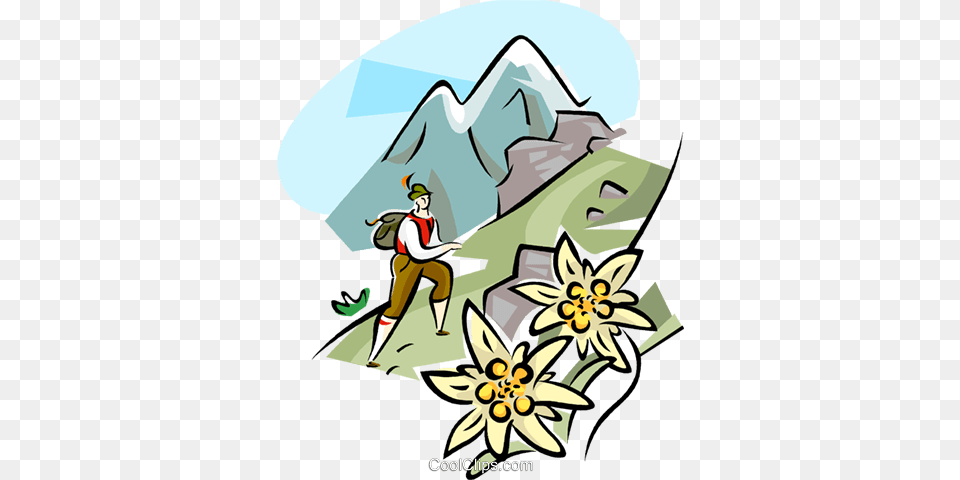 Alps Clipart Edelweiss, Outdoors, Ice, Nature, Person Png Image