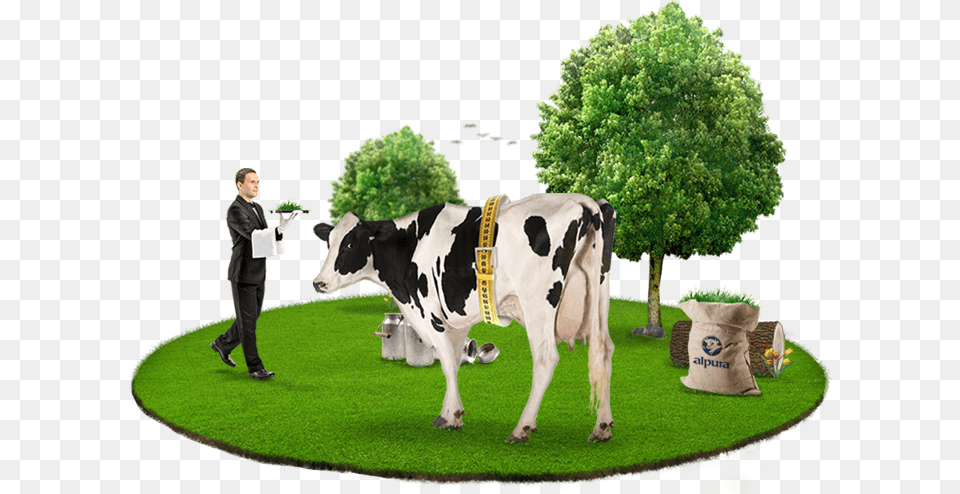 Alpura Nuestras Vacas Bienstar Dairy Cow, Adult, Man, Mammal, Male Png Image