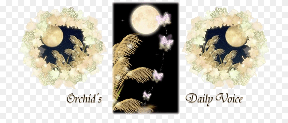 Already Posted About Harvest Moon And Super Moon Floral Design, Art, Astronomy, Outdoors, Collage Free Png