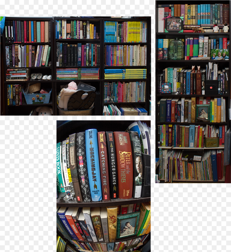 Also I Have Multiple Bookshelves That Line The Corner Book Cover, Shelf, Publication, Furniture, Library Png