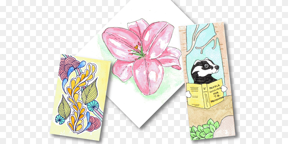 Also Lily, Envelope, Greeting Card, Mail, Flower Png Image