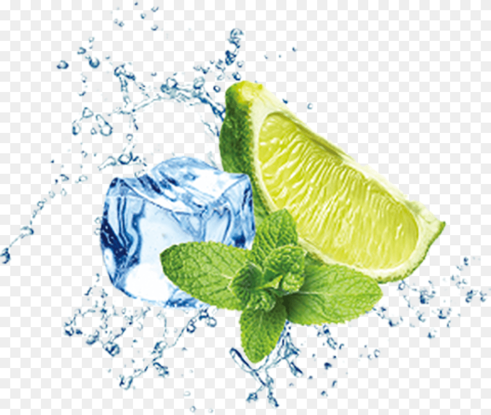 Also Used In Cooking And Baking Are Pulp And Rind Ice Water Splash, Produce, Plant, Mint, Lime Free Png
