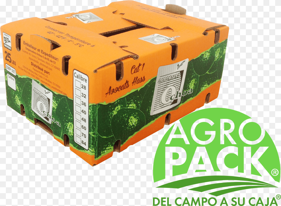 Alt Alt Alt Cajas De Carton Para Aguacate, Food, Plant, Produce, Pumpkin Free Png Download