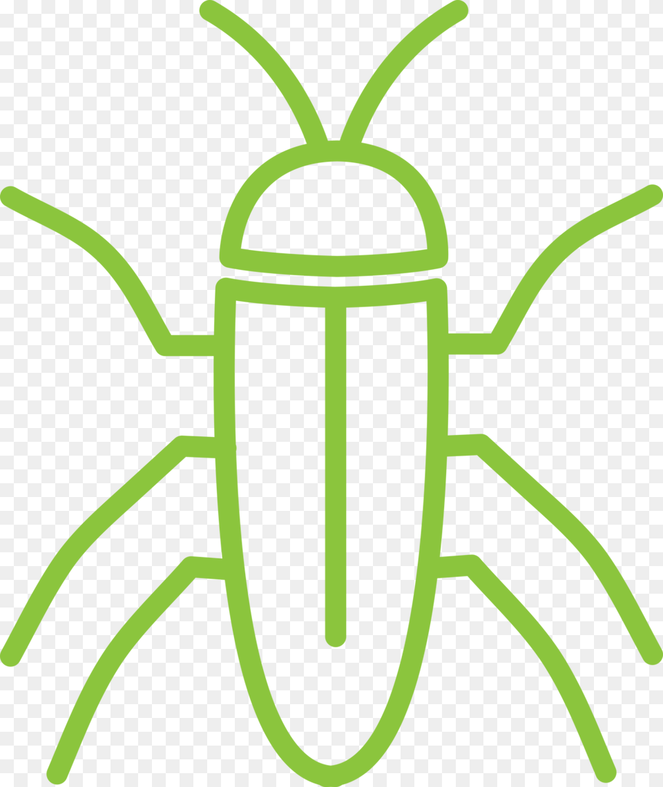 Alta Cockroach Icon, Animal, Firefly, Insect, Invertebrate Free Png Download