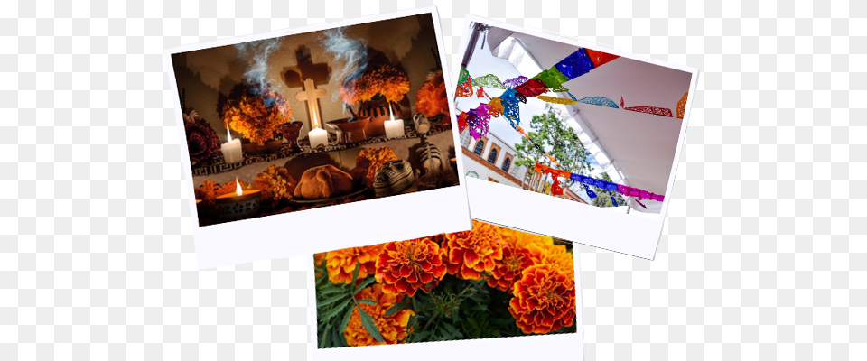 Altares Altar, Flower, Plant, Art, Flower Bouquet Png