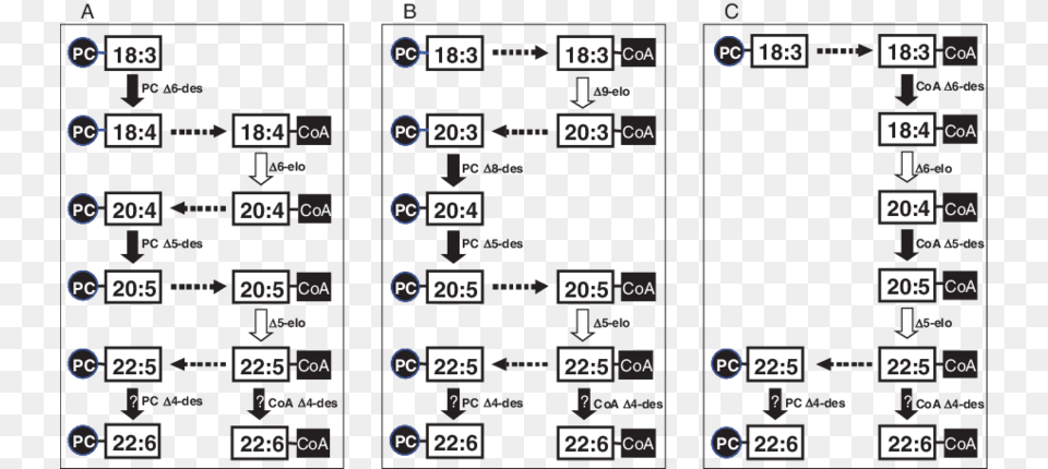 Alternative Pathways For Synthesis Of The 3 Lc Pufa Ala Sda Epa Dha, Scoreboard, Text, Computer Hardware, Electronics Png Image