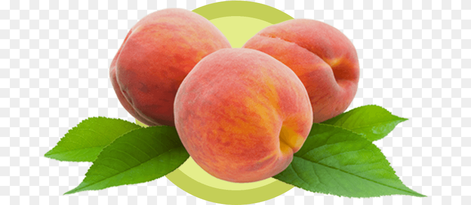 Although Its Botanical Name Prunus Persica Suggests Biofinest Peach Fragrance Oil 100 Fresh Amp, Food, Fruit, Plant, Produce Free Png Download