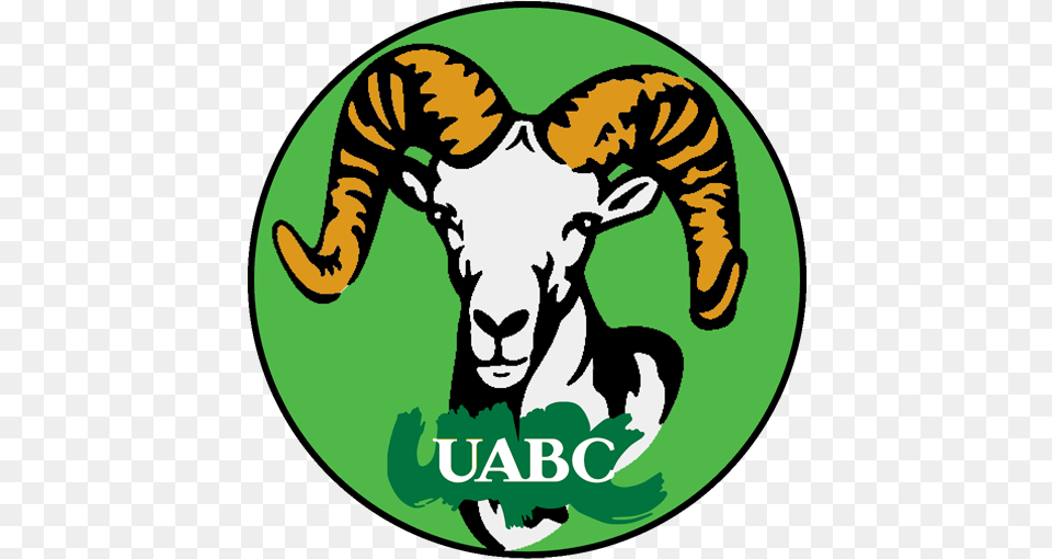 Alumnos Uabc Apps En Google Play Language, Baby, Logo, Person, Livestock Free Transparent Png