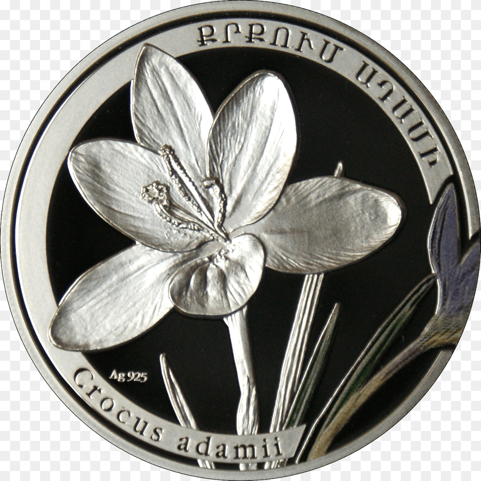 Am 1000 Dram Ag 2011 Crocus B Medical College Of Georgia Decal, Silver, Coin, Money Png Image