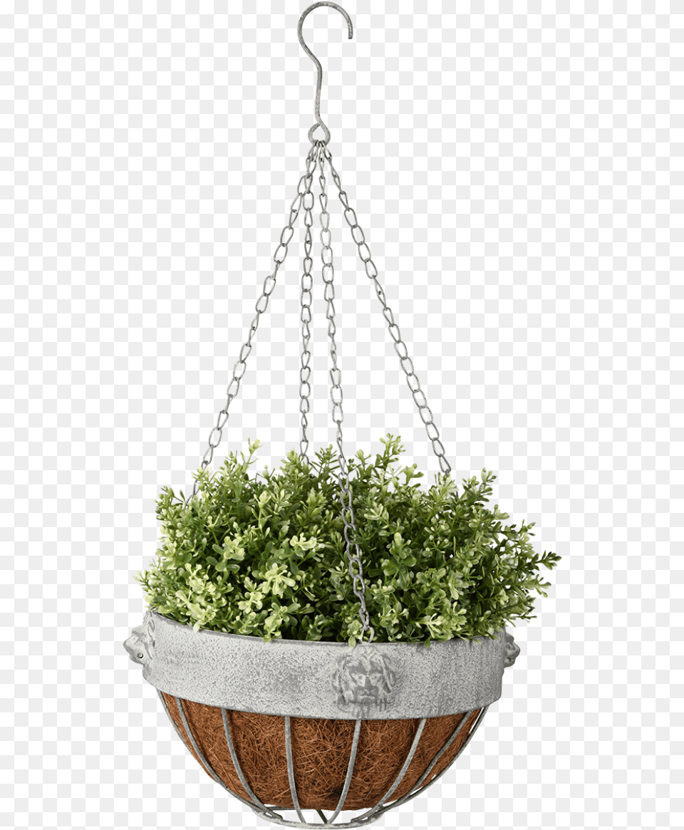 Am Lion Hanging Basket Esschert Design Outdoor Planter Aged Metal Lion Hanging, Jar, Plant, Potted Plant, Pottery Free Png