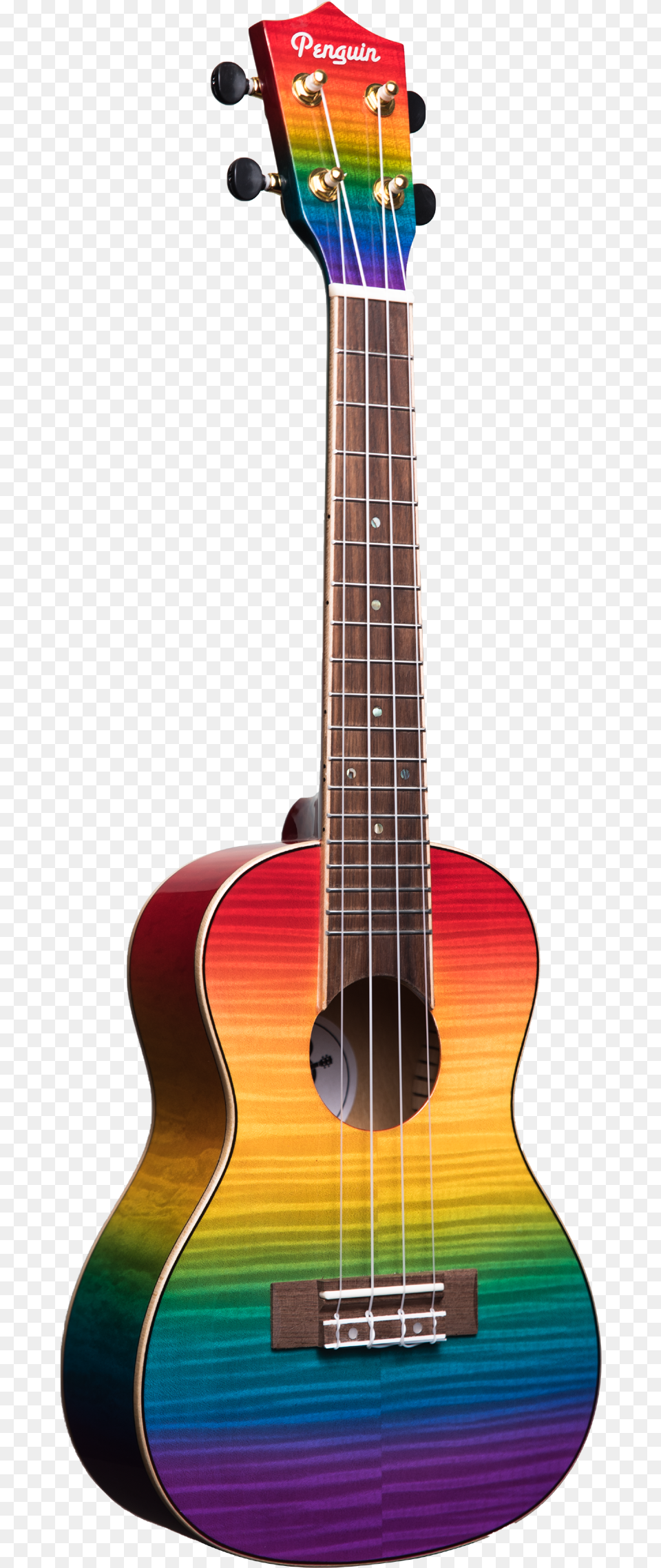Amahi Pguk555c Eq Flamed Maple Ukulele, Bass Guitar, Guitar, Musical Instrument Png
