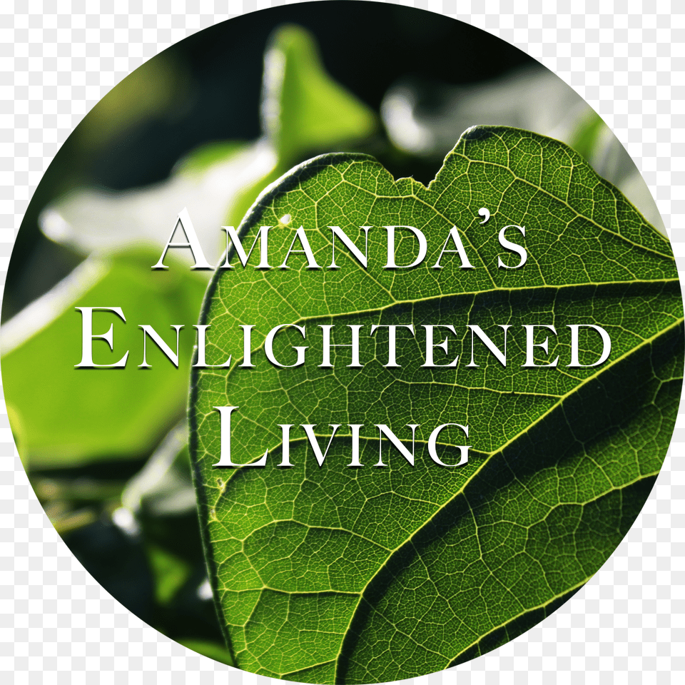 Amanda S Enlightened Living Heart, Leaf, Plant, Green Free Transparent Png