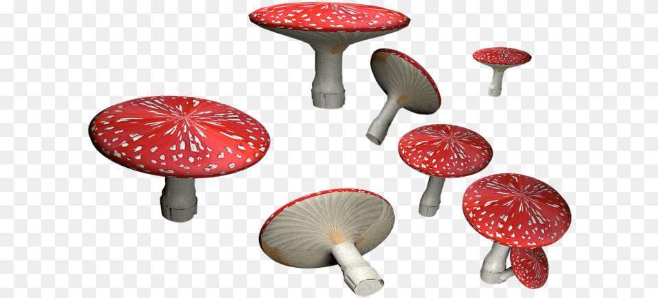 Amanita Muscaria Hd Fly Amanita, Fungus, Plant, Agaric, Mushroom Png Image