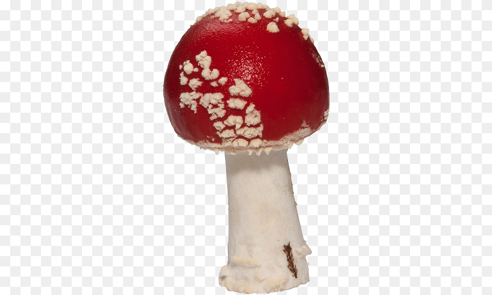 Amanita Muscaria Pic, Agaric, Fungus, Mushroom, Plant Free Transparent Png