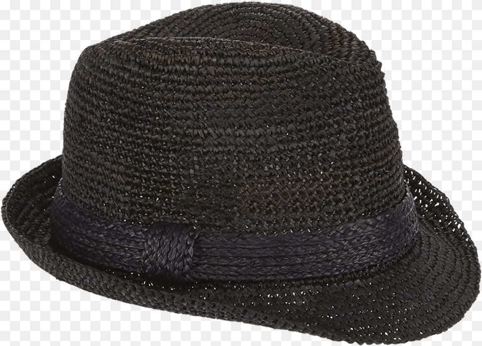 Amara Fedora, Clothing, Hat, Sun Hat Png Image