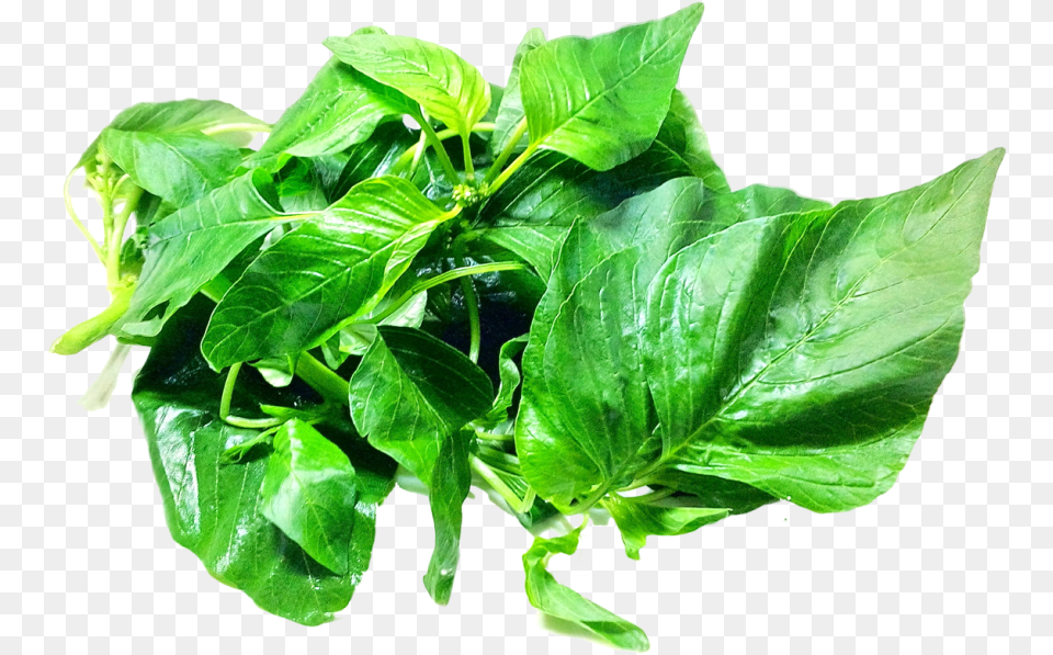 Amaranth Leaves Image Portable Network Graphics, Leaf, Plant, Food, Leafy Green Vegetable Free Png Download