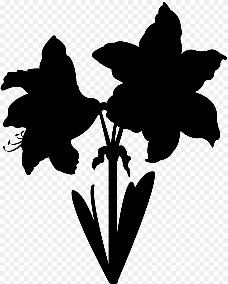 Amaryllis Silhouette, Leaf, Plant, Flower, Stencil Free Png Download