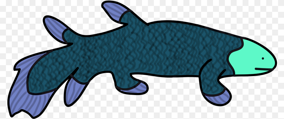 Amateurish Coelacanth, Animal, Sea Life, Accessories, Sunglasses Free Png