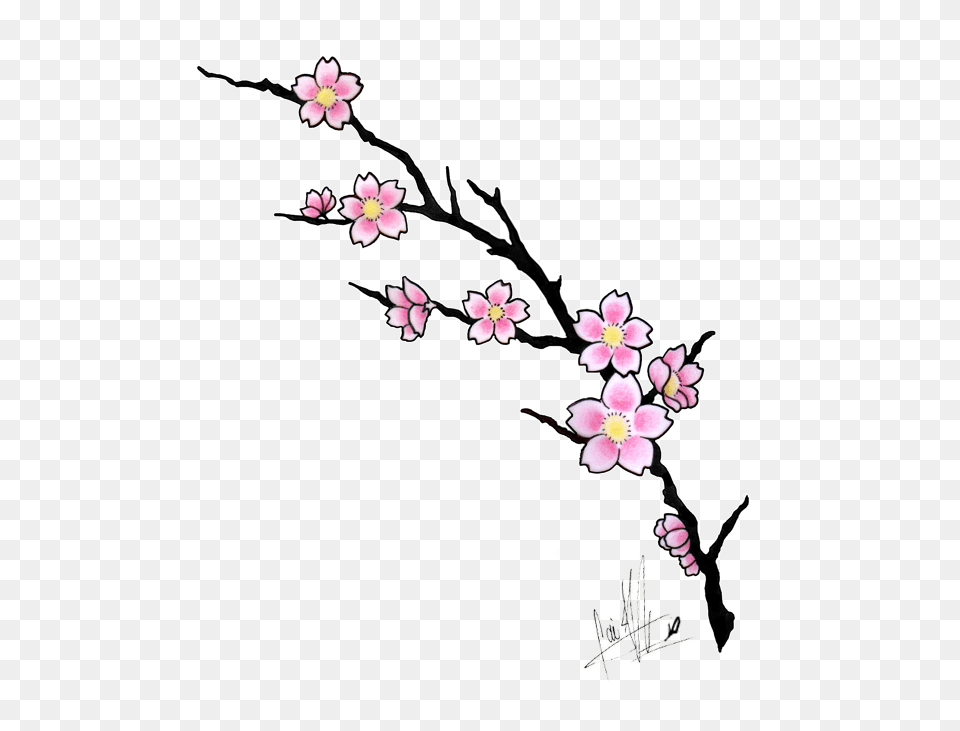 Amazing Cherry Blossom Flowers Tattoo Design Tattoo, Flower, Plant, Cherry Blossom Png