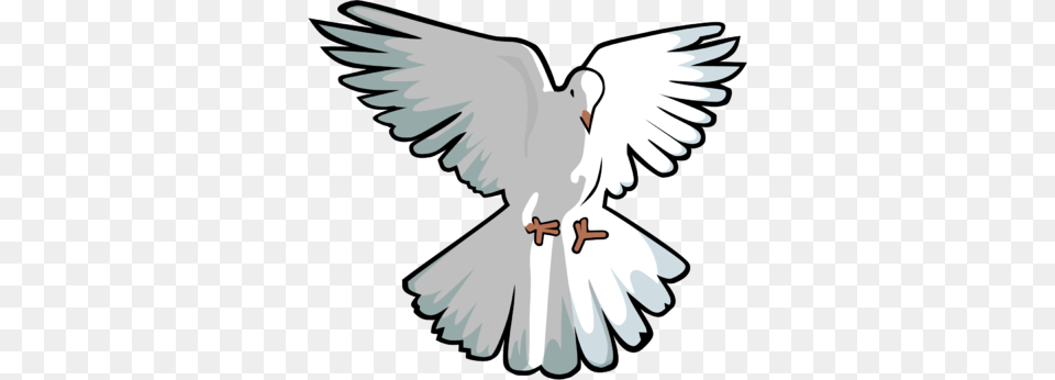 Amazing Clipart Holy Spirit Holy Spirit Clip Art, Animal, Bird, Dove, Pigeon Free Transparent Png