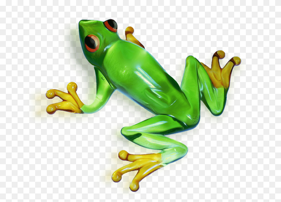 Amazing High Portable Network Graphics, Amphibian, Animal, Frog, Wildlife Free Png Download