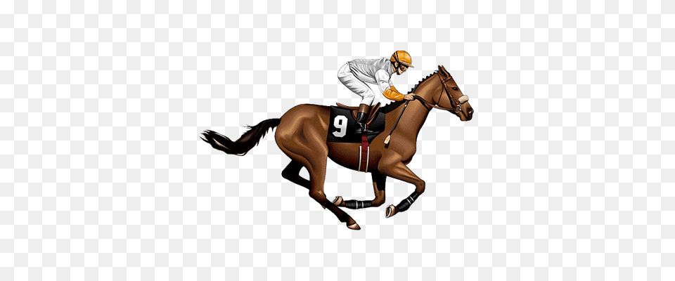 Amazing Horse Race Clipart Horse Racing Jockey Clip Art Images, People, Person, Adult, Female Free Transparent Png