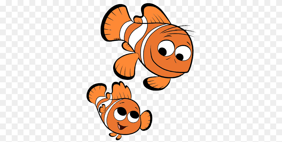 Amazing Nemo Cartoons, Animal, Sea Life, Fish, Baby Free Transparent Png