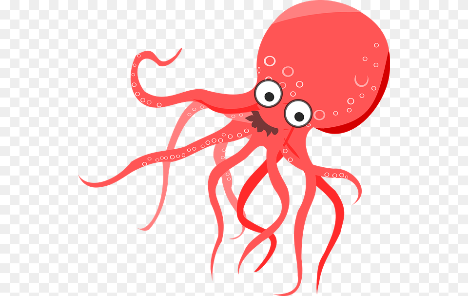 Amazing Octopus Facts Octopus, Animal, Sea Life, Fish, Shark Free Png Download