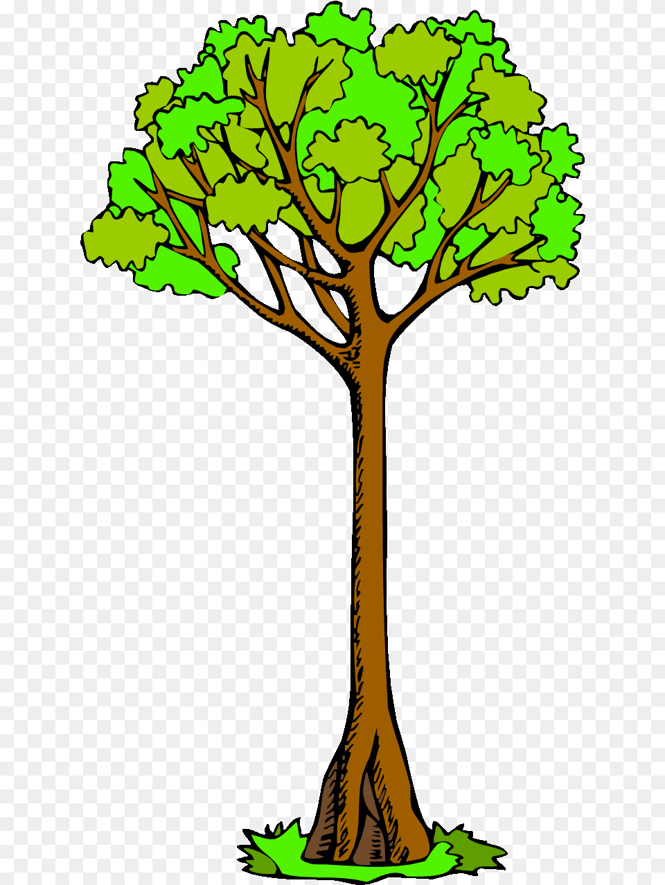 Amazing Tree Clipart Long Clipground Black And White Long Tree Clipart, Plant, Tree Trunk, Potted Plant, Cross Free Transparent Png