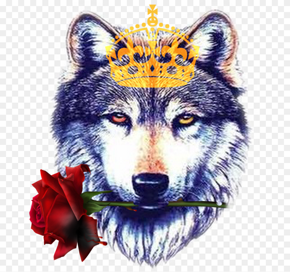 Amazing Wollf Head Tattoo Design Sample Wolf Tattoo, Animal, Mammal, Canine, Red Wolf Free Transparent Png