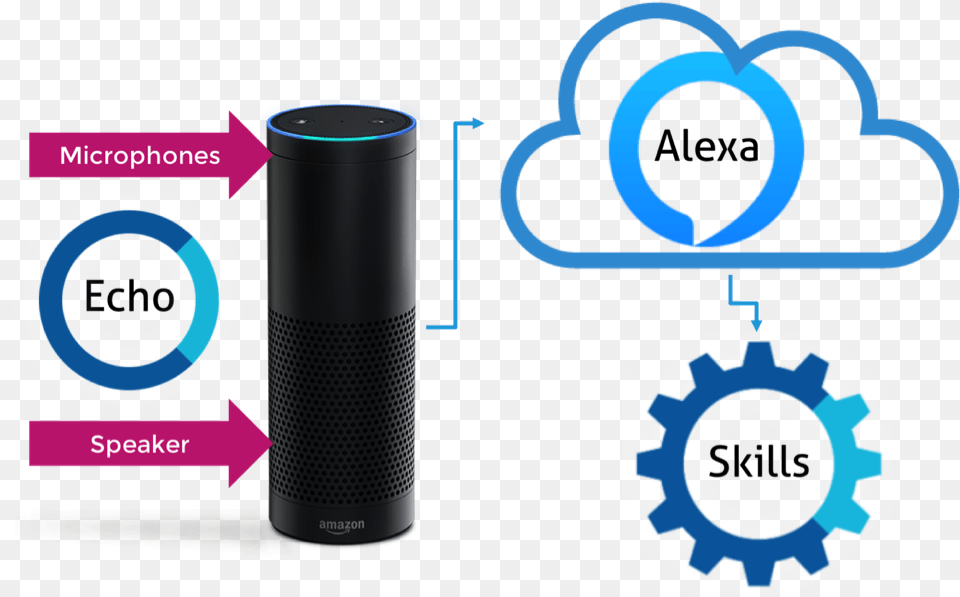 Amazon Alexa, Electronics, Speaker Free Transparent Png