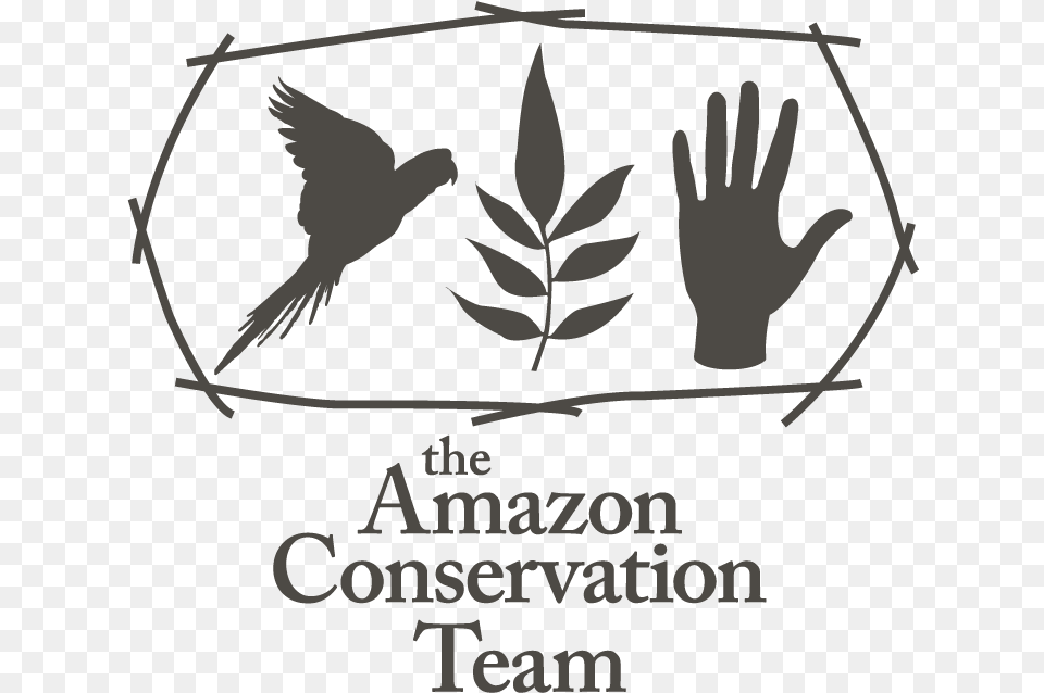 Amazon Conservation Team Logo, Animal, Bird, Stencil, Advertisement Png
