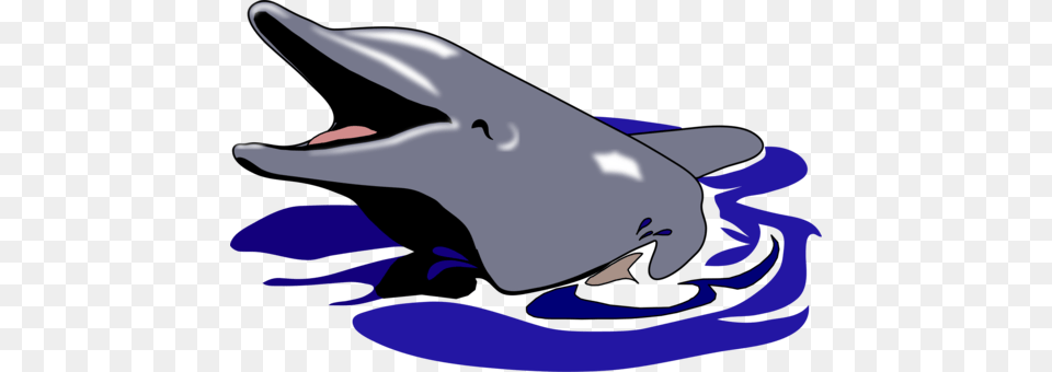 Amazon River Dolphin Porpoise Tucuxi, Animal, Mammal, Sea Life, Fish Png Image