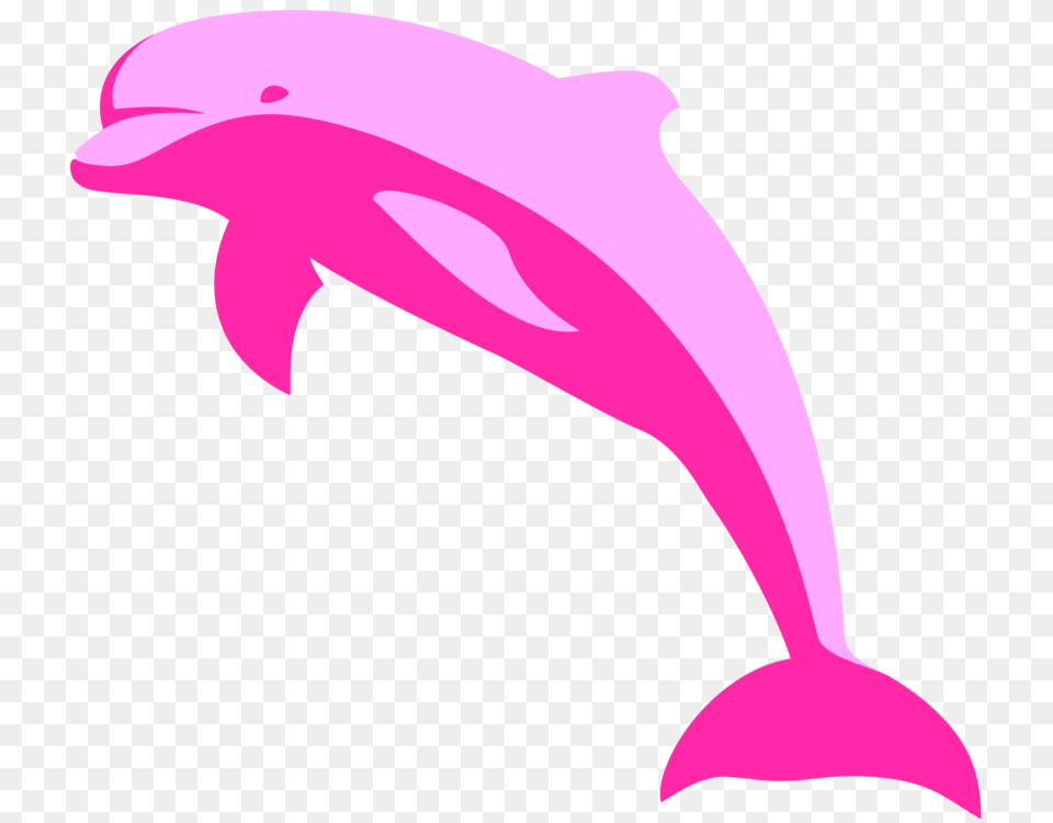 Amazon River Dolphin Porpoise Tucuxi, Animal, Mammal, Sea Life Png