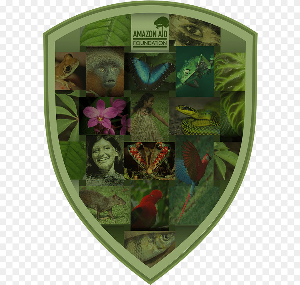 Amazon Warrior Shield Floral Design, Collage, Art, Monkey, Girl Free Png Download