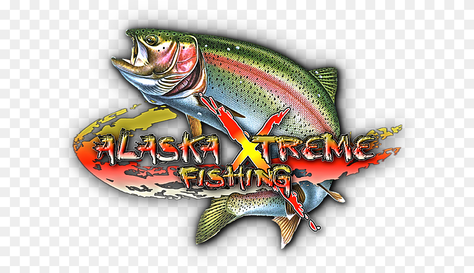 Amazon Xtreme Peacock Bass Fishing Trout, Animal, Fish, Sea Life, Bird Free Transparent Png