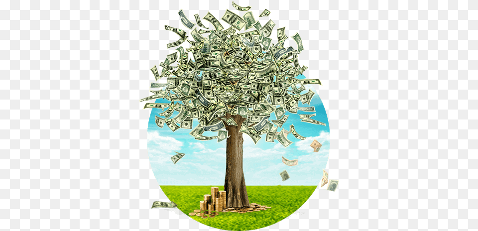 Amazoncom Falling Money Live Wallpaper Appstore For Android Money Tree, Photography Free Transparent Png