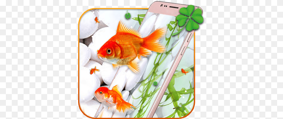 Amazoncom Gold Koi Fish Live Wallpaper Appstore For Android Feeder Fish, Animal, Sea Life, Goldfish, Electronics Free Transparent Png