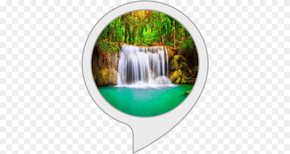 Amazoncom Relaxing Music Sounds Of Forest And Zen Background Foto Booth 3d, Land, Vegetation, Tree, Scenery Free Png Download