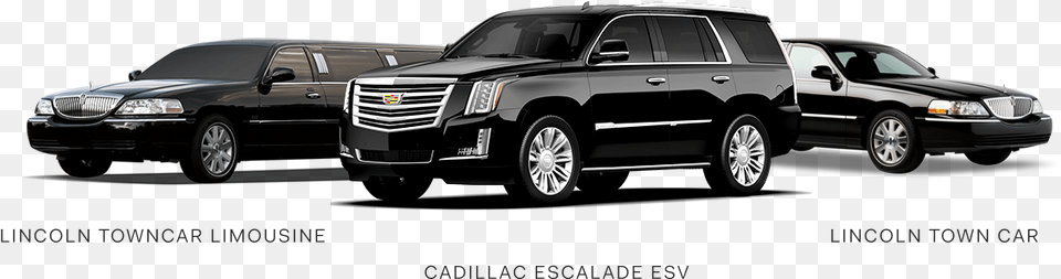 Ambassador Global Chauffeur Black Lincoln Town Car, Alloy Wheel, Vehicle, Transportation, Tire Free Transparent Png