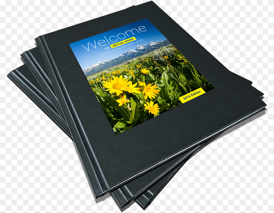 Ambassador On Demand Yellow Iris, Flower, Plant, Advertisement, Poster Free Png Download