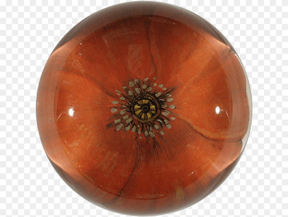 Amber, Pottery, Sphere, Accessories, Bowl Free Png