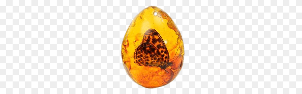 Amber Pendant With Butterfly, Accessories, Gemstone, Jewelry, Ornament Png Image