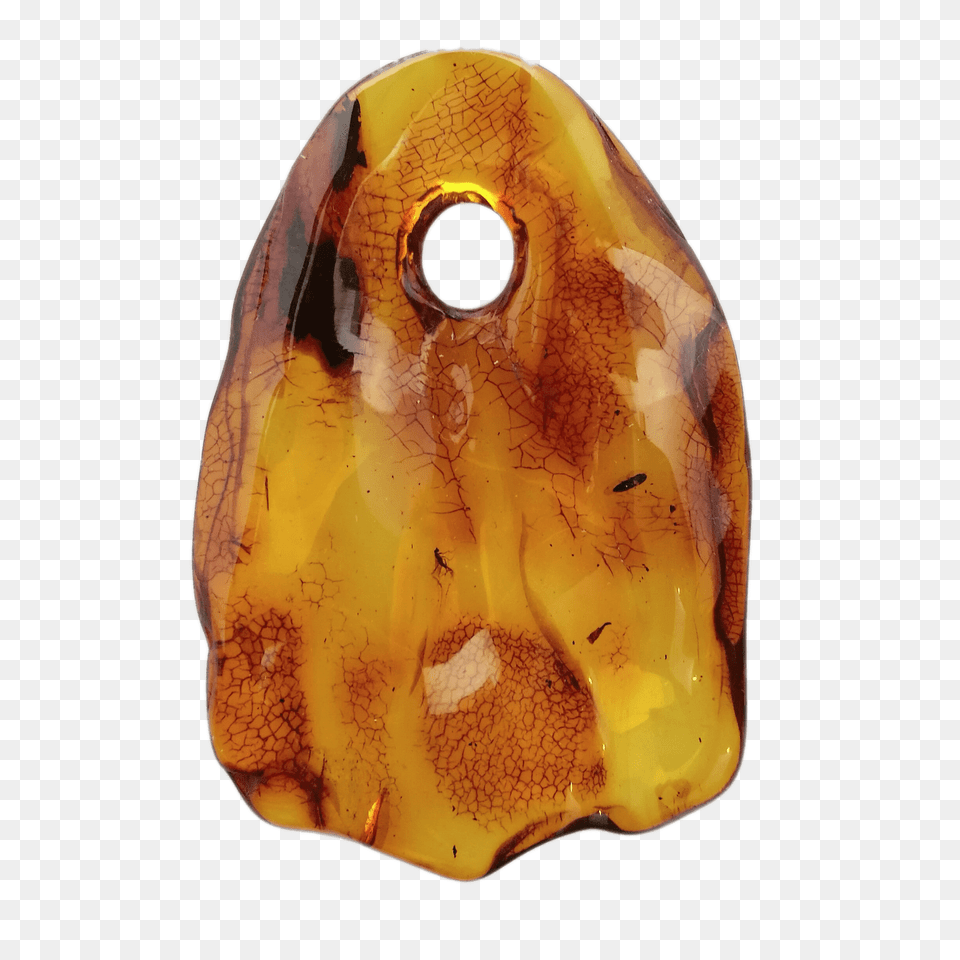 Amber Pendant With Small Insect, Accessories, Gemstone, Jewelry, Ornament Free Png Download