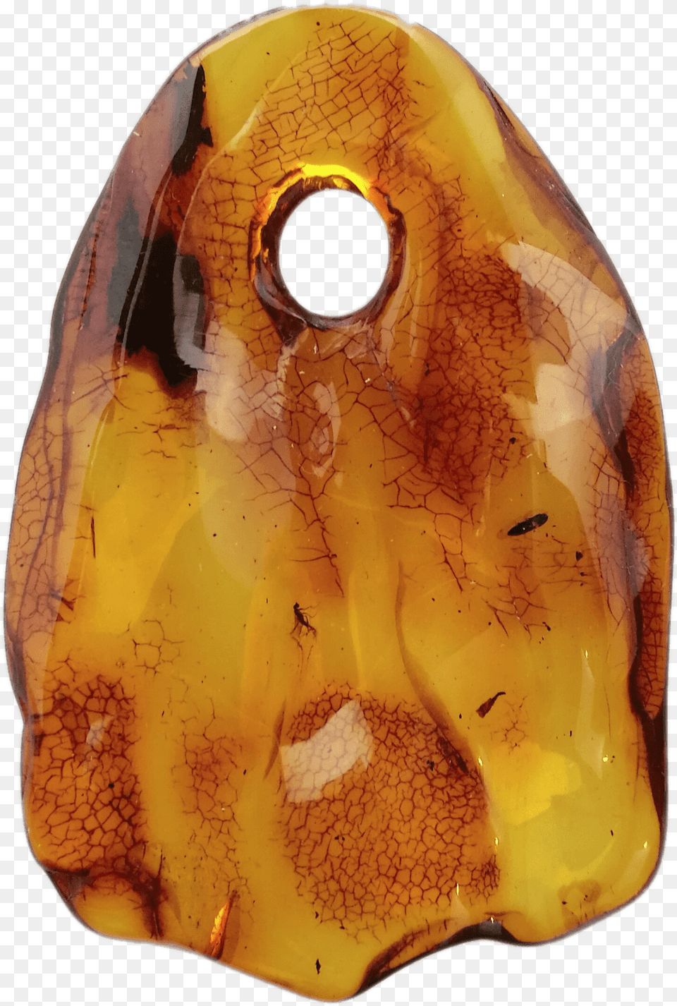 Amber Pendant With Small Insect Brighton Silver, Accessories, Gemstone, Jewelry, Ornament Free Transparent Png