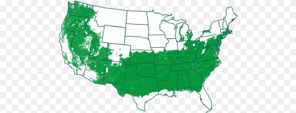 Amberglow Redwood Trees For Saleu2013 Fastgrowingtreescom Needle Palm Zone Map, Chart, Plot, Atlas, Diagram Free Png Download